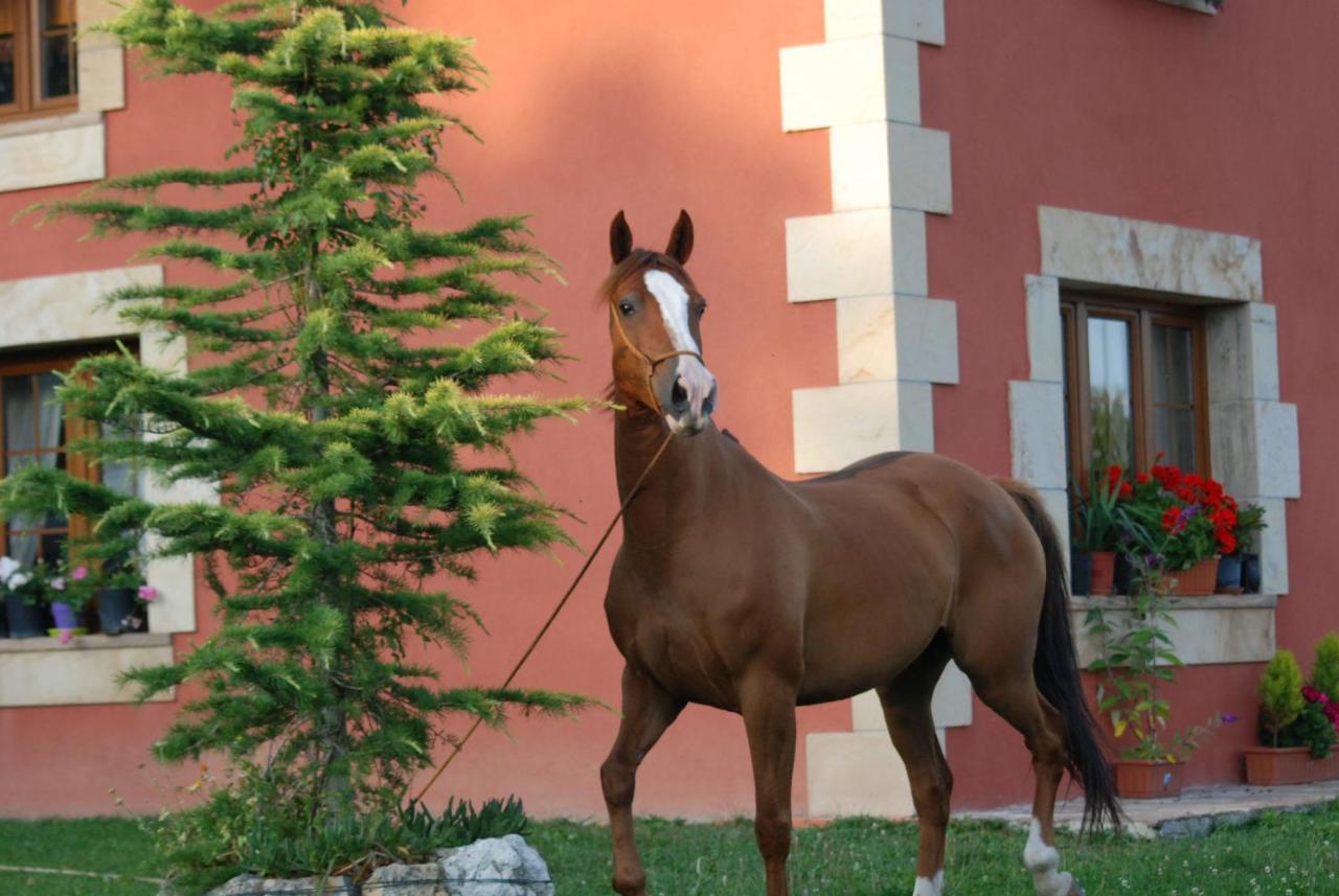 Casucas La Guariza Villa Fontibre Exteriör bild
